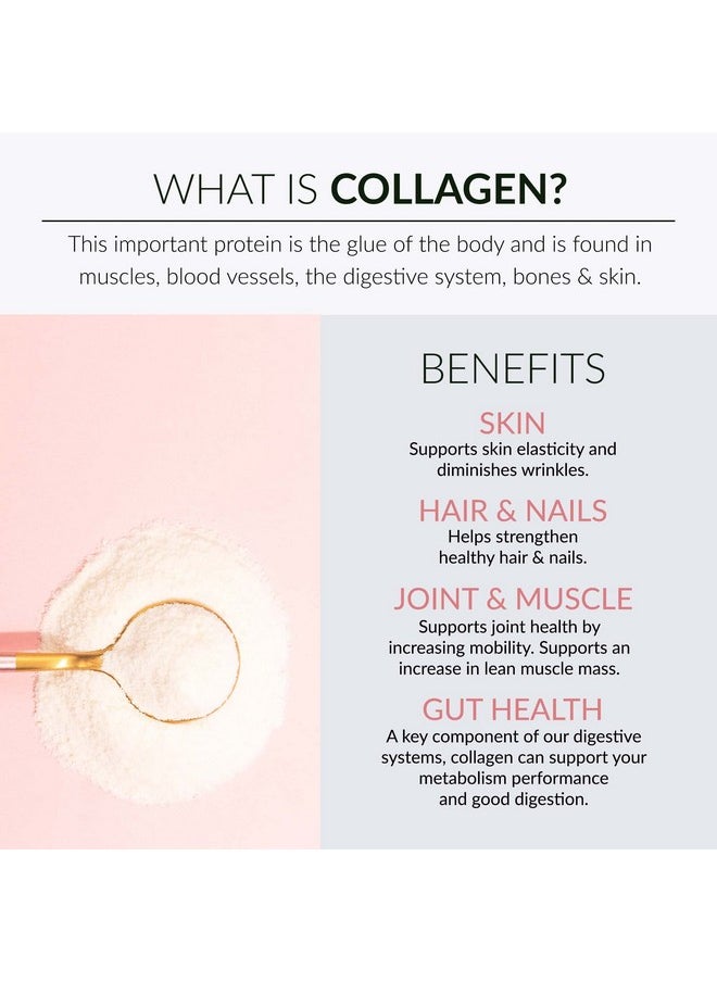 Alaya Naturals - Alaya Multi Collagen Powder Type I Ii Iii V X Hydrolyzed Collagen Peptides Protein Powder Supplement With Msm + Gc (Unflavored) - Image 1