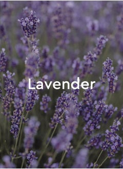 Kneipp Kneipp Relaxing Lavender Aromatherapy Bubble Bath - Good for Relaxation - Vegan - 13.5 fl oz - Up to Eight Baths  - Image 2