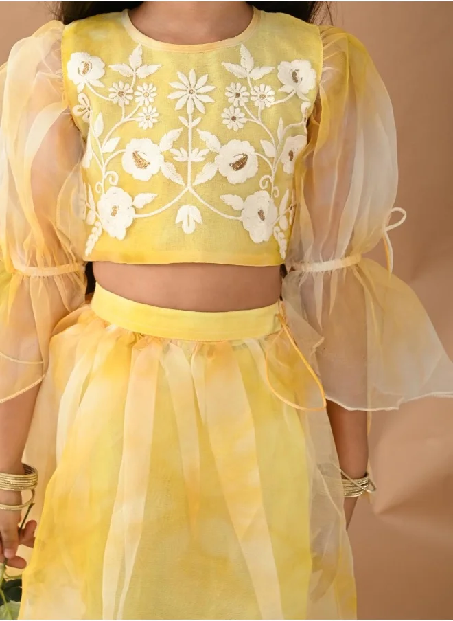 LILPICKS Designer Lehenga Choli Set