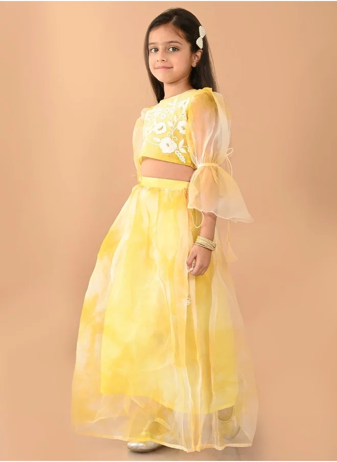 LILPICKS Designer Lehenga Choli Set