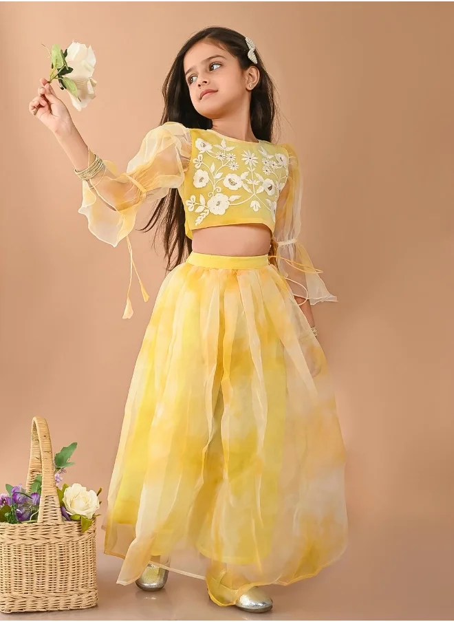 LILPICKS Designer Lehenga Choli Set