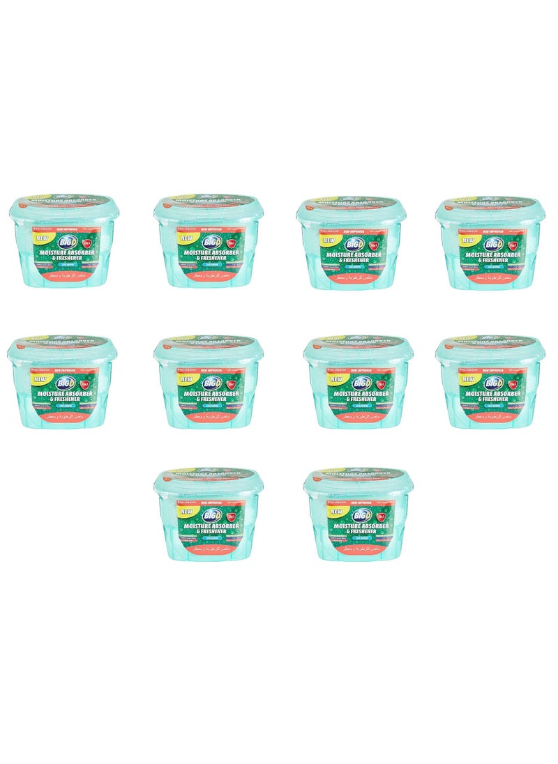 BIG D - Big D Moisture Absorber & Freshener Cool Marine – Pack of 10 | Long-Lasting Odor & Moisture Control - Image 1