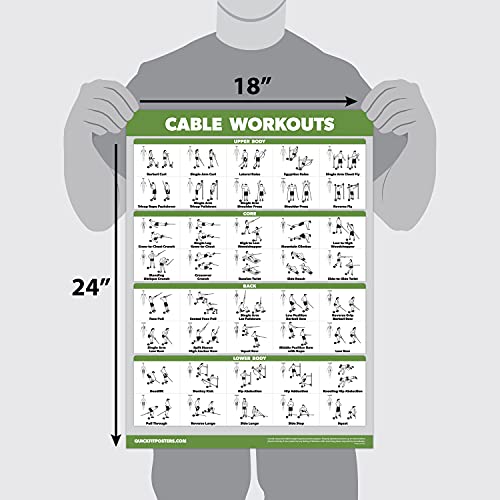 Palace Learning 10 Pack - Exercise Workout Poster Set - Cable Machine, Dumbbell, Suspension, Kettlebell, Resistance Bands, Stretching, Bodyweight, Barbell, Yoga Poses, Exercise Ball (LAMINATED, 18" x 24") - Image 2