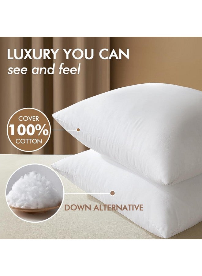 MIULEE MIULEE 26x26 Down Alternative Pillow Insert Euro Decorative Throw Pillow 26 x 26 Inch Body Bed Sleeping Ultra Soft Fluffy Form for Sofa Couch Bed  - Image 3