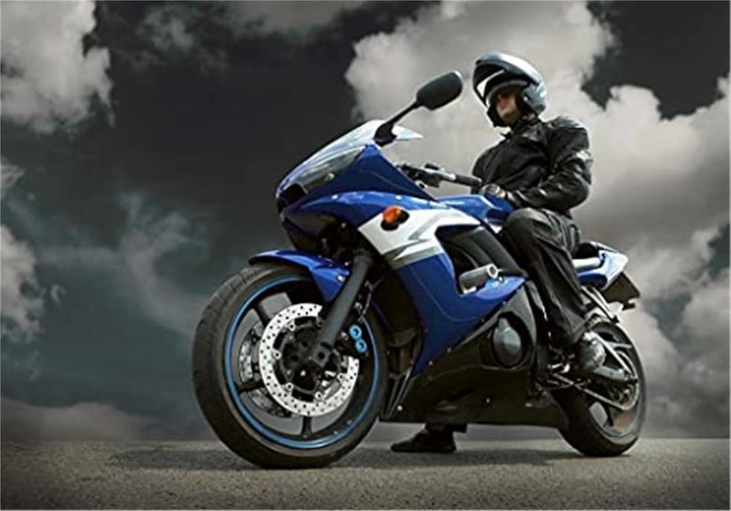 QASULER Motorcycle Rear Passenger Armrests for Benelli 502C - Image 2