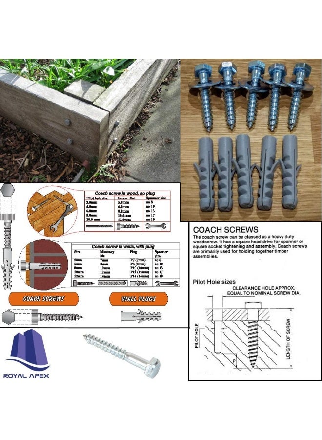 Royal Apex 10 Pcs Galvanized G.I Hex Head Coach Screws With Washer And Plug Wood Working For Holding Together Heavy Timber And Concrete Working. - Image 4