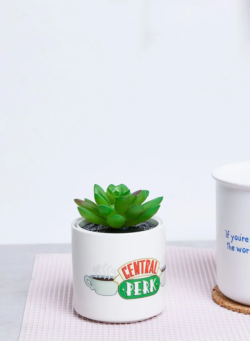 Half Moon Bay Friends Central Perk Plant Pot Faux 6.5Cm