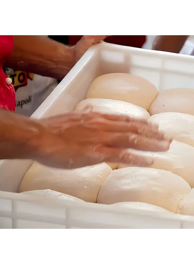 صندوق تخمير العجين الأبيض كبير السعة 15 75 11 81 2 95 بوصة حاوية تخزين الطعام للمطبخ - Image 2