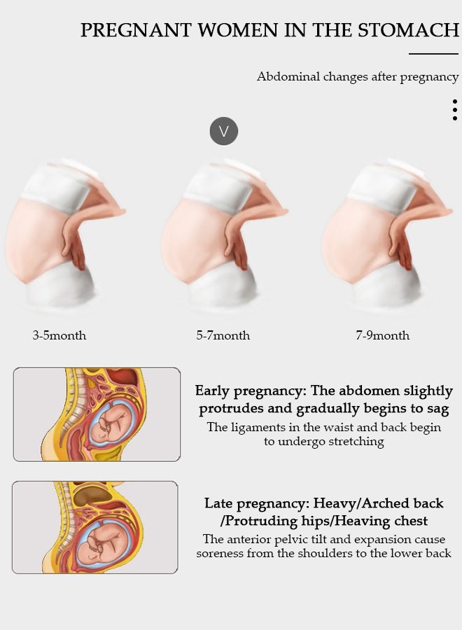 DUNISO حزام الأمومة لدعم الحمل مقاس XL، 3 قطع، حزام الخصر/الظهر/البطن، دعامة للبطن، أسود - Image 3