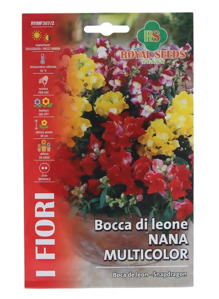 بذور نبات سناب دراجون القزم متعددة الألوان من رويال سيدز عبوة من 3 قطع (1 جرام) - Image 1