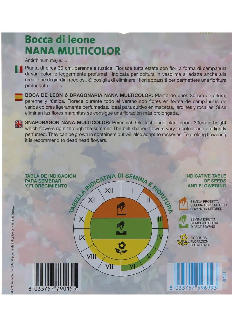 بذور نبات سناب دراجون القزم متعددة الألوان من رويال سيدز عبوة من 3 قطع (1 جرام) - Image 3