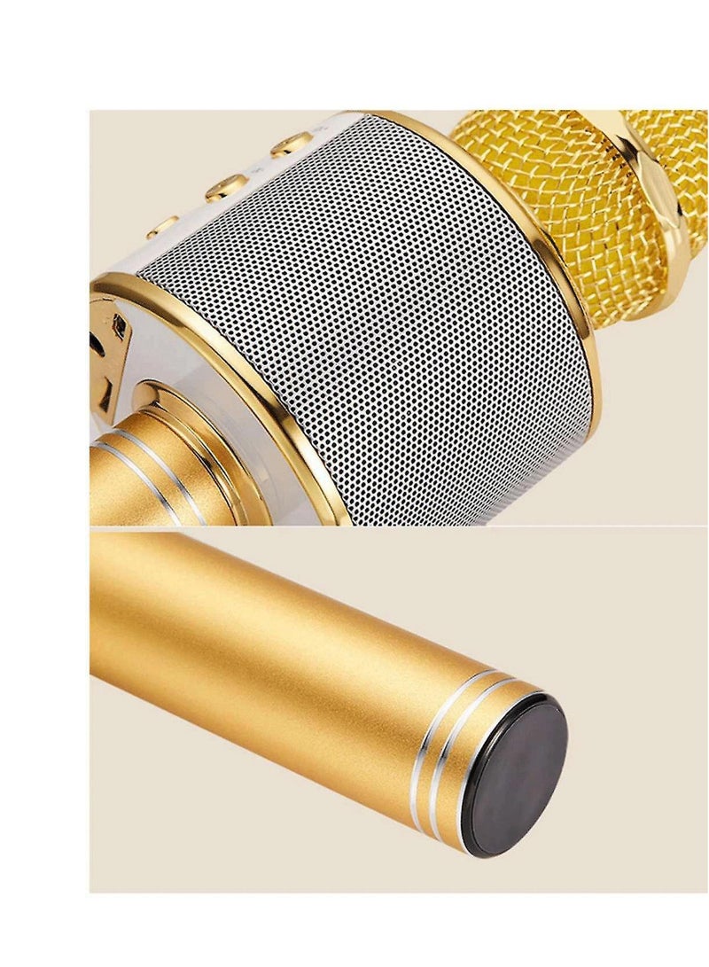 Bluetooth Karaoke Microphone g858 Gold/Silver - Image 3