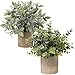 Briful Artificial Potted Plants Set of 2 Small Faux Plant Eucalyptus Mini Fake Plant Decor for Home Table Office Room - Image 2