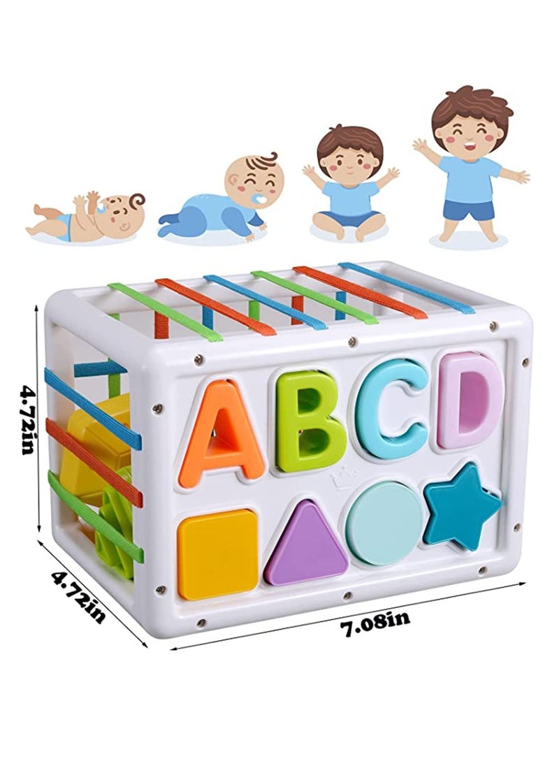 Baby Shape Sorting Toy, Sensory Sorting Bin with Elastic Bands, Colorful Cube with 14PCS Sensory Shape Blocks,Sorter Sorting Brain Toys for Ages 12 Months+ (15Pcs Baby Shape Sorting Toy)