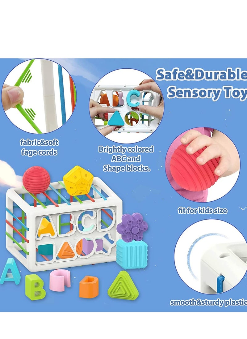 Baby Shape Sorting Toy, Sensory Sorting Bin with Elastic Bands, Colorful Cube with 14PCS Sensory Shape Blocks,Sorter Sorting Brain Toys for Ages 12 Months+ (15Pcs Baby Shape Sorting Toy)