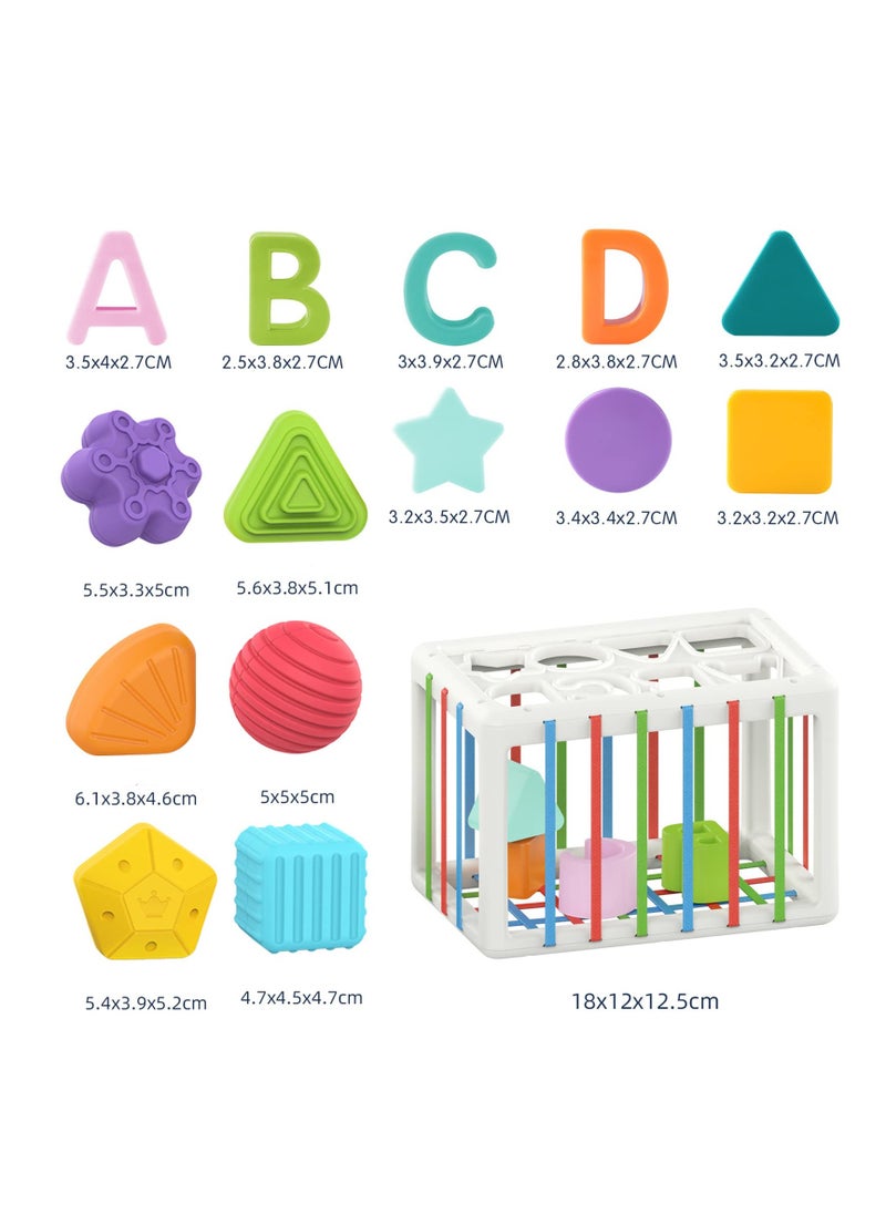 Baby Shape Sorting Toy, Sensory Sorting Bin with Elastic Bands, Colorful Cube with 14PCS Sensory Shape Blocks,Sorter Sorting Brain Toys for Ages 12 Months+ (15Pcs Baby Shape Sorting Toy)