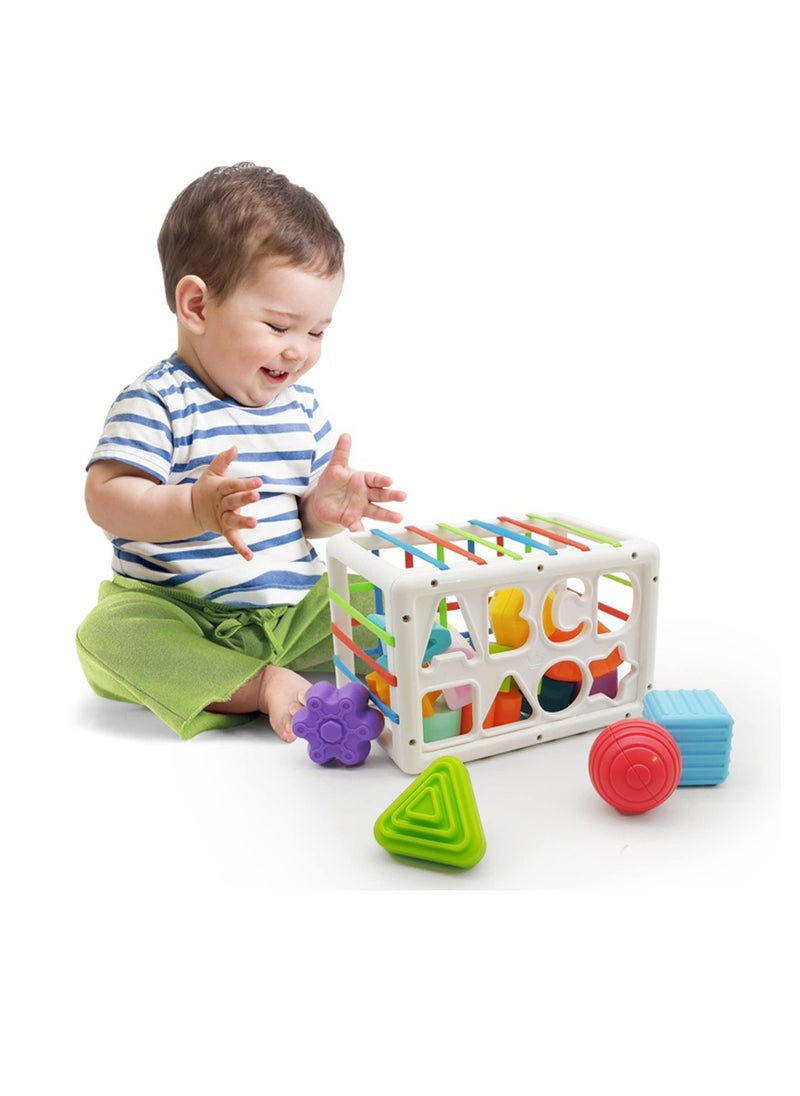 Baby Shape Sorting Toy, Sensory Sorting Bin with Elastic Bands, Colorful Cube with 14PCS Sensory Shape Blocks,Sorter Sorting Brain Toys for Ages 12 Months+ (15Pcs Baby Shape Sorting Toy)