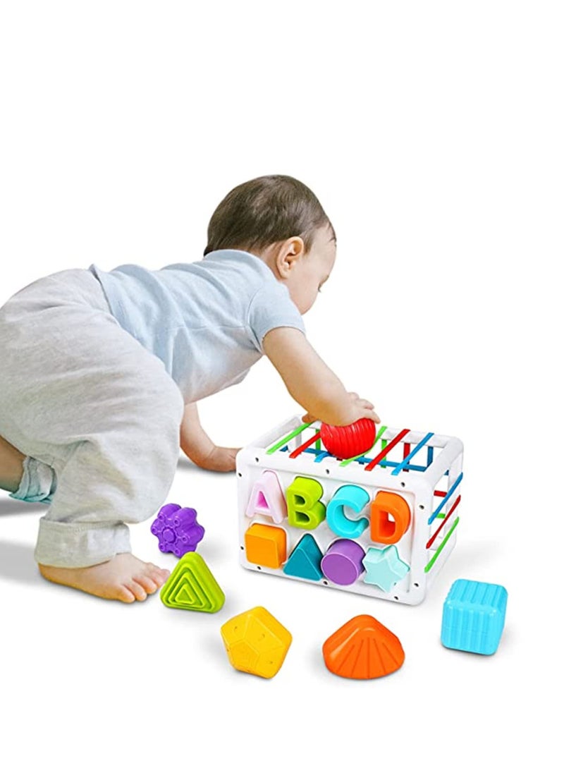 Baby Shape Sorting Toy, Sensory Sorting Bin with Elastic Bands, Colorful Cube with 14PCS Sensory Shape Blocks,Sorter Sorting Brain Toys for Ages 12 Months+ (15Pcs Baby Shape Sorting Toy)