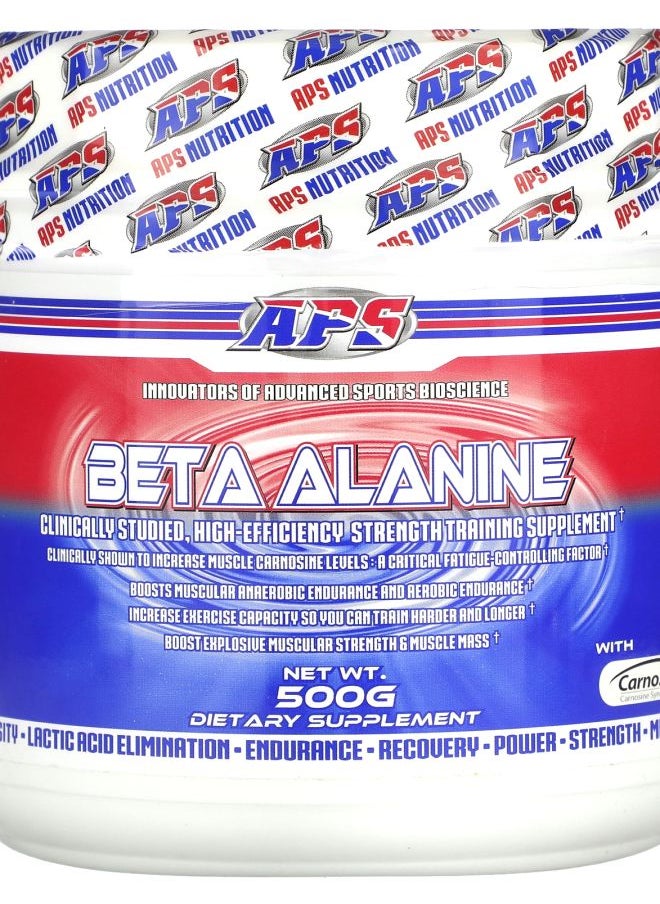 Beta Alanine 500 g - pzsku/Z5914A96F253A8B0A7D82Z/45/_/1731508808/b5275c99-6012-44b0-b603-001fb3914823