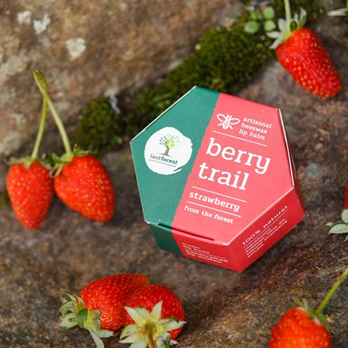 Last Forest Beeswax Lip Balm for Men & Women 5g, Non-sticky, 24 Hrs Lip Moisturizer For Dry And Chapped Lips, Nourish & Protect (Strawberry) - Image 2