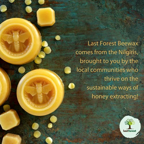 Last Forest Beeswax Lip Balm for Men & Women 5g, Non-sticky, 24 Hrs Lip Moisturizer For Dry And Chapped Lips, Nourish & Protect (Strawberry) - Image 4