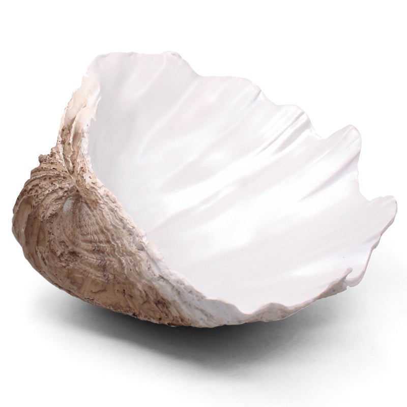 Extra Large Clam Shells Decorative Bowl Earth Tan Sea Shells Decorative Storage Bowls for Coastal Beach theme house table centerpiece decorations Nautical decorations for coffee table 1241PC
