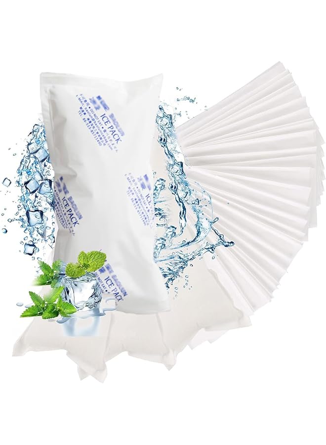 Goodern 30Pcs Dry Ice Packs Auto Water Absorption Cold Pack Ice Pack Sheets Shipping Cold Packs for Frozen Food Long Lasting Ice Packs Leak Proof Gel Refrigerant Pack for Coolers and Shipping 20*9.5cm - Image 1