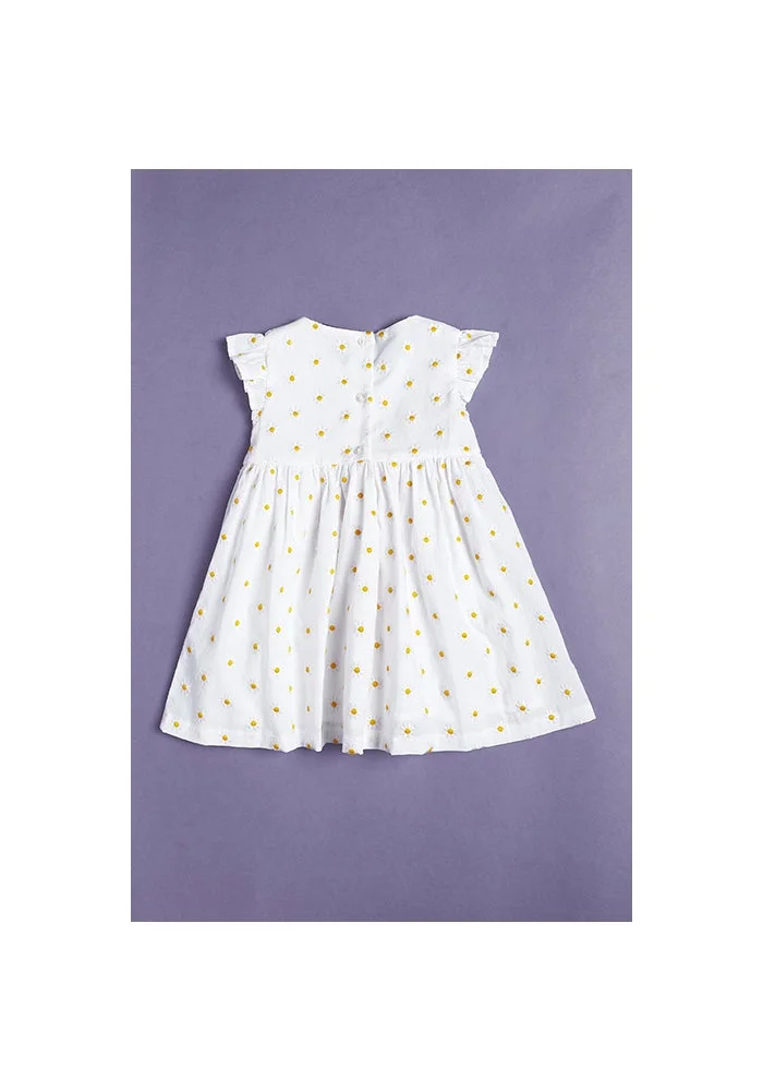 أر أند بي Embroidered Fit & Flare Dress with Crew Neck and Flutter Sleeves