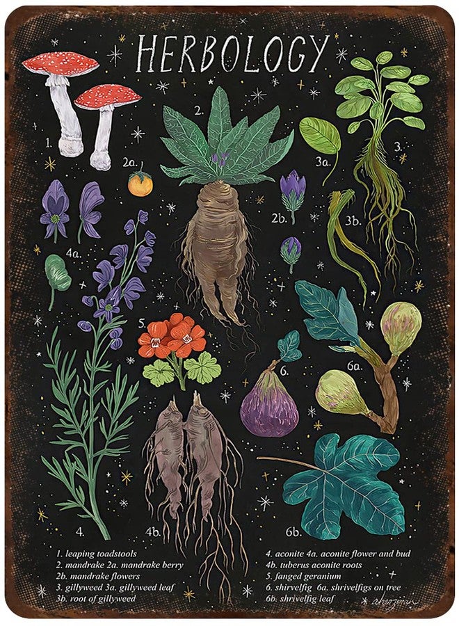 Mocozim Rustic Retro Metal Tin Sign Herbology Poster Plant Magic Home Decor Wall Art Decor Tin Sign for Living Room,Kitchen,Bedroom Gift 8X12Inch - Image 1