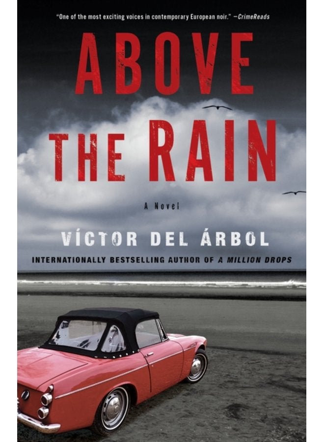 Above The Rain A Novel - Paperback