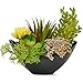 Luxsego luxsego Artificial Succulents Plants - 7.2 Inch Fake Potted Succulents Plants, Faux Succulents for Hone Garden, Table  - Image 2