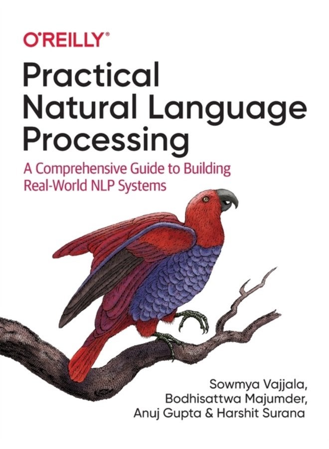 Practical Natural Language Processing A Comprehensive Guide to Building Real World NLP Systems - Paperback