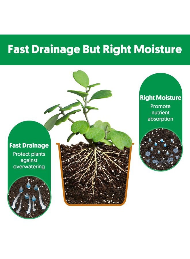 THE NEXT GARDENER.COM خليط تربة زراعة الصبار (4 لتر)، خليط تربة حديقة متعدد الاستخدامات للنباتات الداخلية والخارجية، تربة سريعة التصريف لنباتات المنزل والأوركيد والبونساي، جاهز للاستخدام، تصميم كيس قابل لإعادة الإغلاق - Image 4