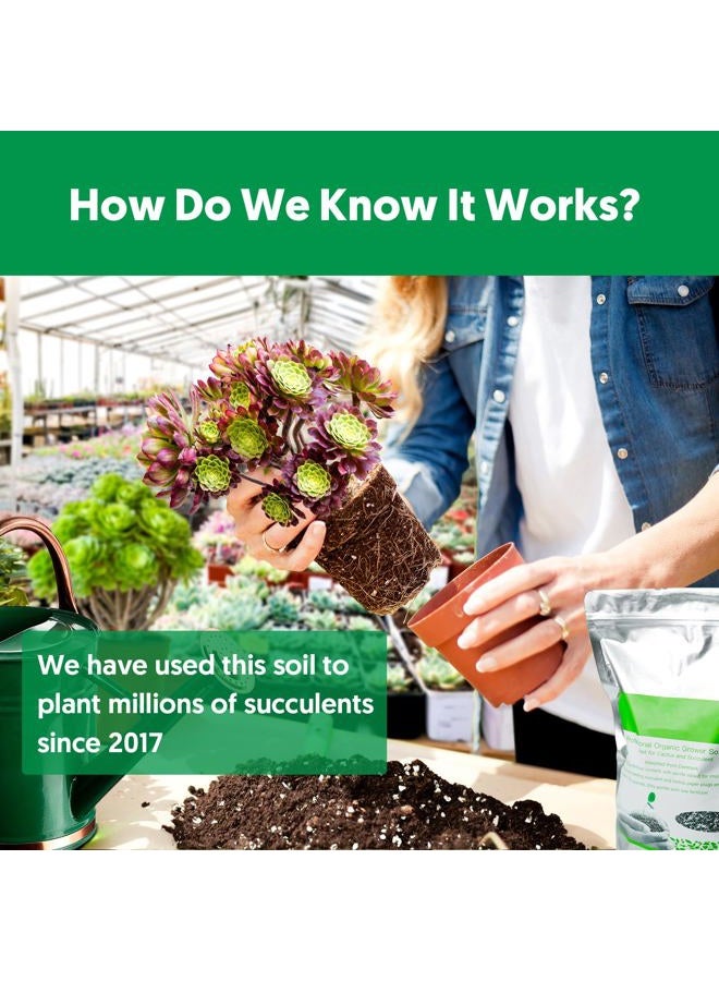THE NEXT GARDENER.COM خليط تربة زراعة الصبار (4 لتر)، خليط تربة حديقة متعدد الاستخدامات للنباتات الداخلية والخارجية، تربة سريعة التصريف لنباتات المنزل والأوركيد والبونساي، جاهز للاستخدام، تصميم كيس قابل لإعادة الإغلاق - Image 3