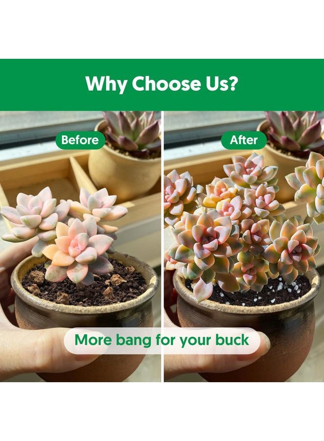 THE NEXT GARDENER.COM خليط تربة زراعة الصبار (4 لتر)، خليط تربة حديقة متعدد الاستخدامات للنباتات الداخلية والخارجية، تربة سريعة التصريف لنباتات المنزل والأوركيد والبونساي، جاهز للاستخدام، تصميم كيس قابل لإعادة الإغلاق - Image 2