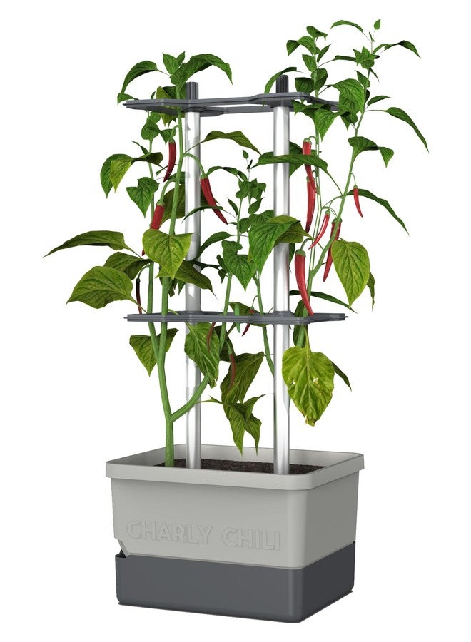 BUZZY Seeds Charly Chili Vertical Garden Tower - 1.2 Gal Self-Watering Reservoir, .35 Cubic ft Soil, Sturdy Trellis Support - Grow Chili, Bell Peppers & Eggplants - Light Gray - Image 1