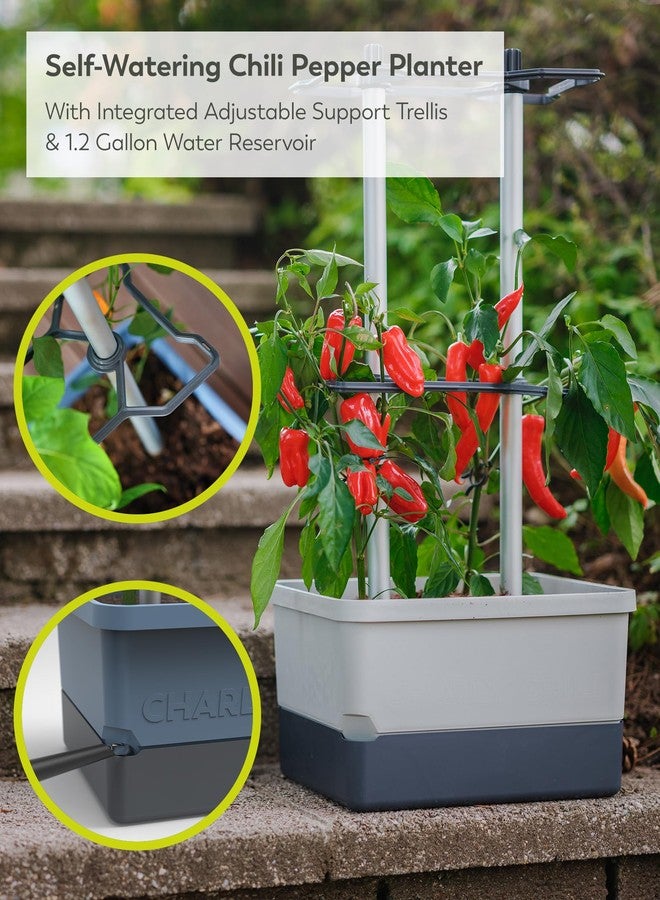 BUZZY Seeds Charly Chili Vertical Garden Tower - 1.2 Gal Self-Watering Reservoir, .35 Cubic ft Soil, Sturdy Trellis Support - Grow Chili, Bell Peppers & Eggplants - Light Gray - Image 2