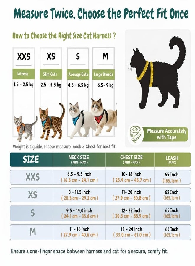 Berlin's PET ACCESSORIES Berlin's Cat Harness and Leash Set - Escape Proof, No Pull, Lightweight Breathable Air Mesh, Adjustable & Comfortable Cat Vest Harness for Small Cats, Kittens & Outdoor Walks (Black, Medium) - Image 2