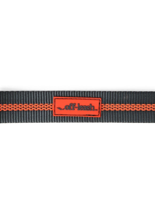 Dexas Double Handled Reflective Dog Leash, Large - Image 4