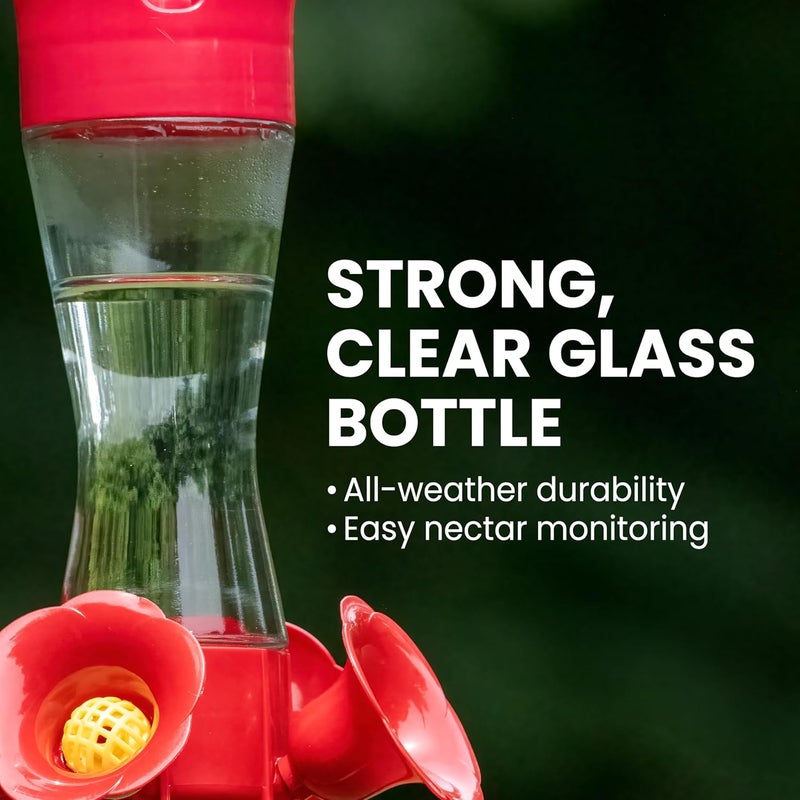 Perky-Pet 203CPBN-2 Glass Hummingbird Feeders for Outdoors with Perches, Ant Moat, Bee Guards - Pack of 2 - Image 2