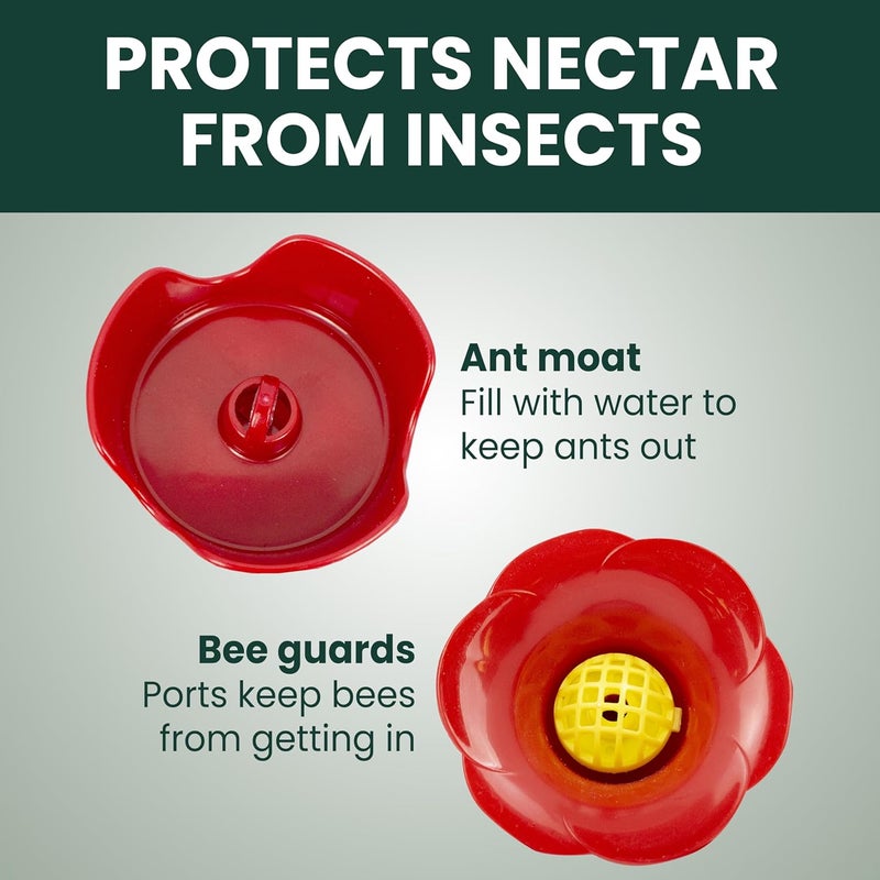 Perky-Pet 203CPBN-2 Glass Hummingbird Feeders for Outdoors with Perches, Ant Moat, Bee Guards - Pack of 2 - Image 4