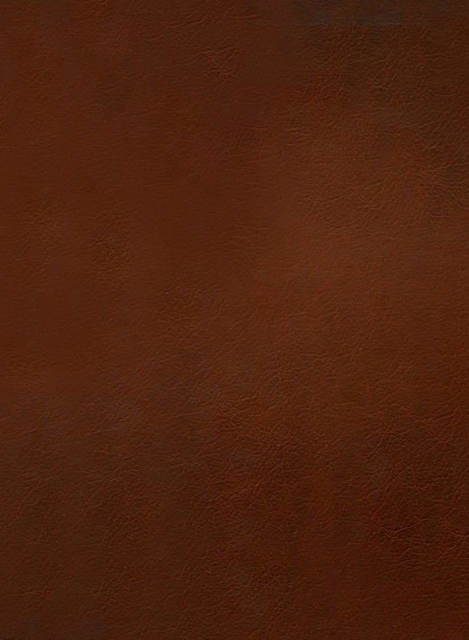 Tyndale NLT Wide Margin Bible, Filament-Enabled Edition (Genuine Leather, Brown, Red Letter) - Image 2