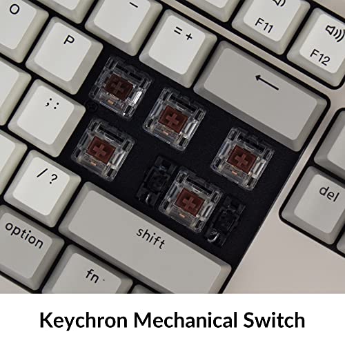 Keychron لوحة مفاتيح ميكانيكية سلكية كاملة الحجم Keychron C2 متوافقة مع ماك، مفتاح بني من Keychron، 104 مفتاح، أغطية مفاتيح ملونة عتيقة، لوحة مفاتيح للألعاب لنظام ويندوز، كابل USB-C من نوع C مضفر - Image 4
