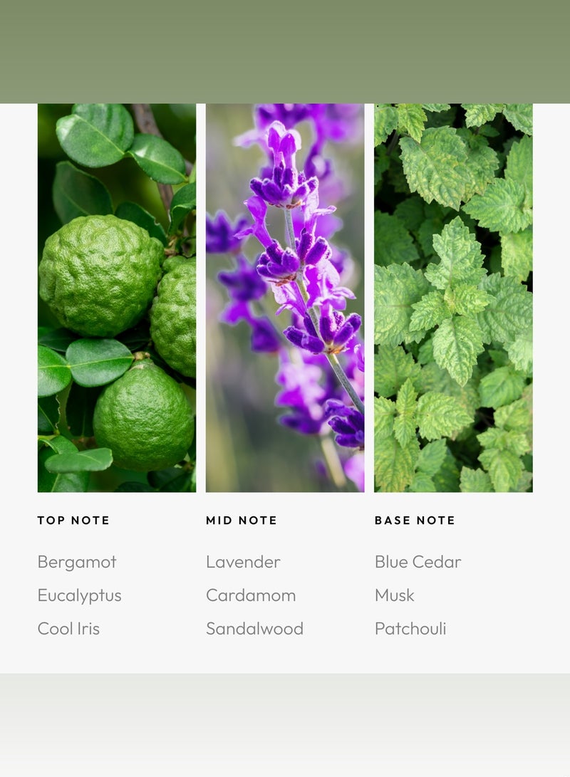 AROMA360 Blue Moon Pro-Pod Oil Blend - Hotel Inspired for Luxury Essential Oil Diffusers - Aromatherapy Scent Diffuser Oil - Blue Cedar, Lavender, and Eucalyptus  - Image 4