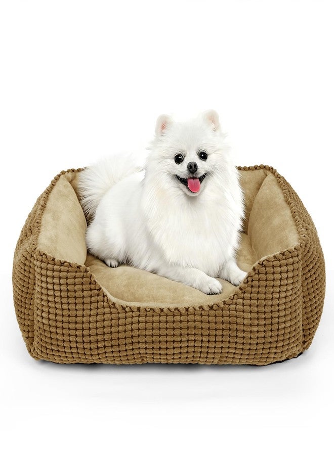 MIXJOY Dog Beds for Medium Dogs Washable, Rectangle Pet Bed Medium Size Dog, Orthopedic Sleeping Pet Sofa Bed, Soft Calming Cat Beds for Indoor Cats, Anti-Slip Bottom with Multiple Size - Image 1