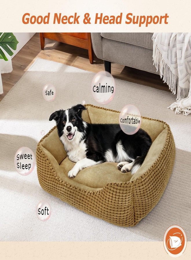 MIXJOY Dog Beds for Medium Dogs Washable, Rectangle Pet Bed Medium Size Dog, Orthopedic Sleeping Pet Sofa Bed, Soft Calming Cat Beds for Indoor Cats, Anti-Slip Bottom with Multiple Size - Image 5