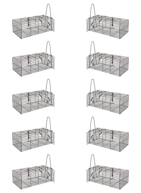 Wire mouse trap, 10 pieces