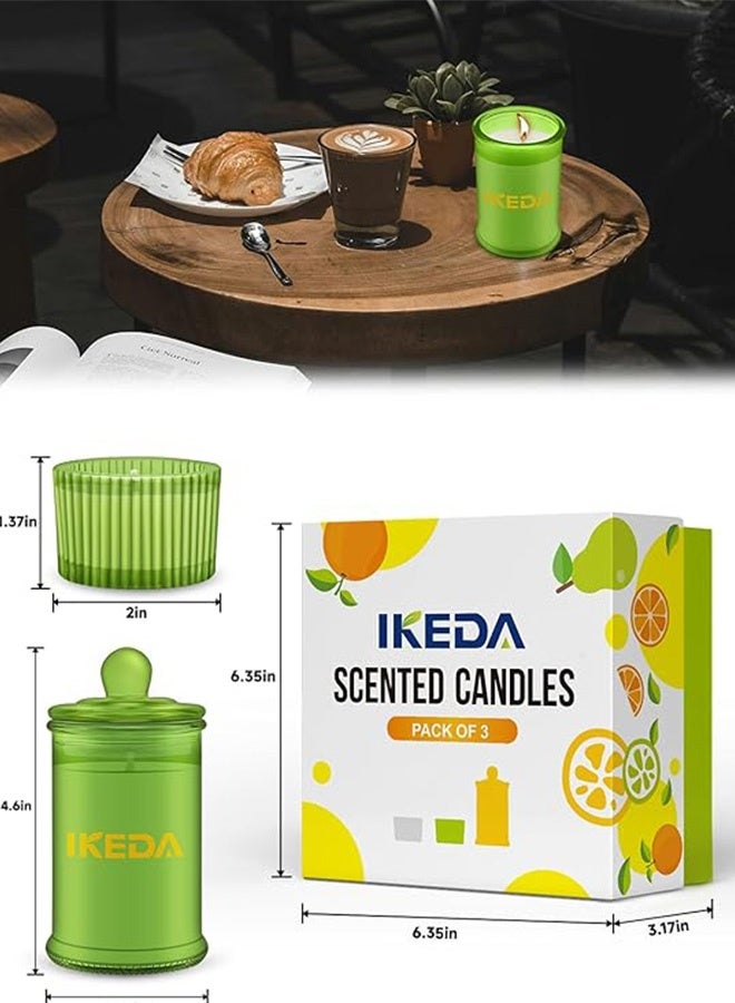 IKEDA Scented Candles Gift Set, Citrus Tea, Perfect Candles Gifts Set for Women, Birthdays, Weddings, Christmas, Yoga, Bath (Citrus & Tea) - Image 5