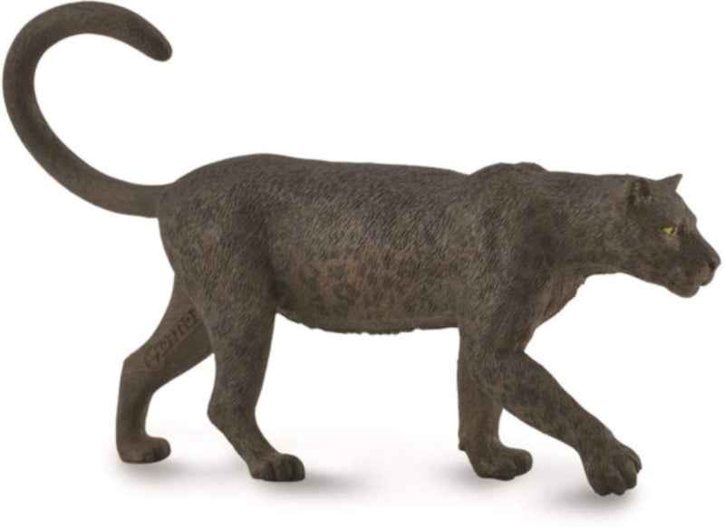 Black Leopard