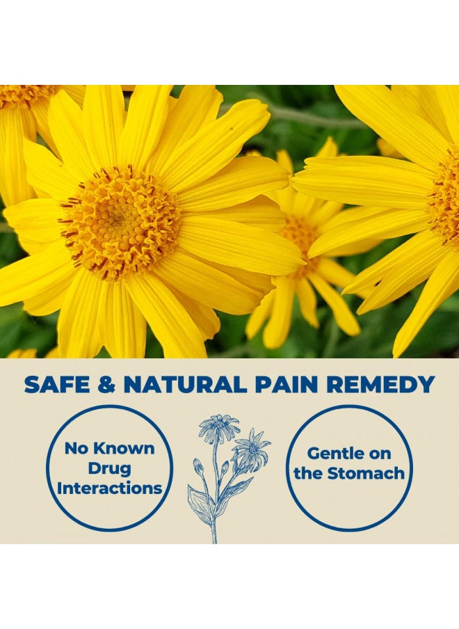 VitaMedica - VitaMedica | Arnica Montana | 30X | HPUS | Made in USA | Plant Based | Bruising | Swelling & Inflammation | Muscle Pain Relief | Post Surgery | Homeopathic Remedies | Arnica Tablets | 30 Ct - Image 1